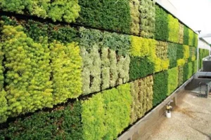 destinylandscapingconstruction com 7